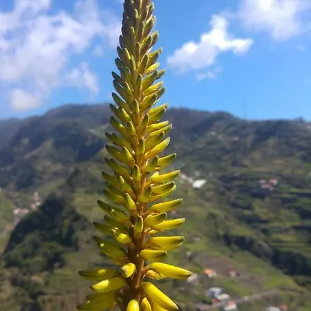 Farm stay Mar A Vista *